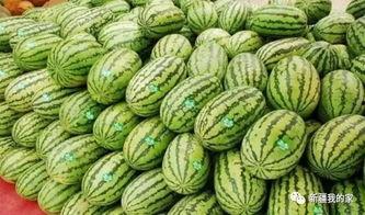 石河子吃瓜最新事件爆料,揭秘背后惊人真相